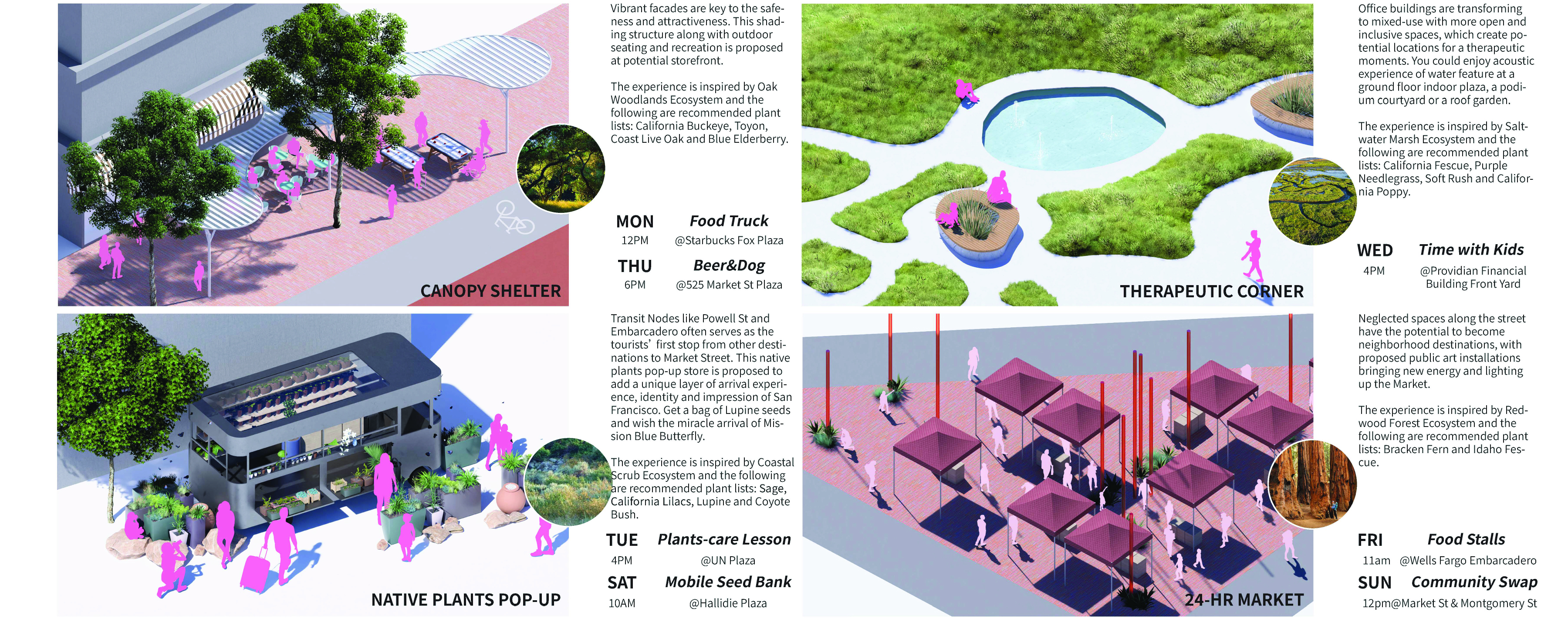 An “acupuncture-scale” intervention to activate the public and private interface
